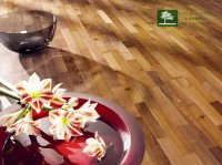 SC NATURAL HOME PARCHET SRL 27460